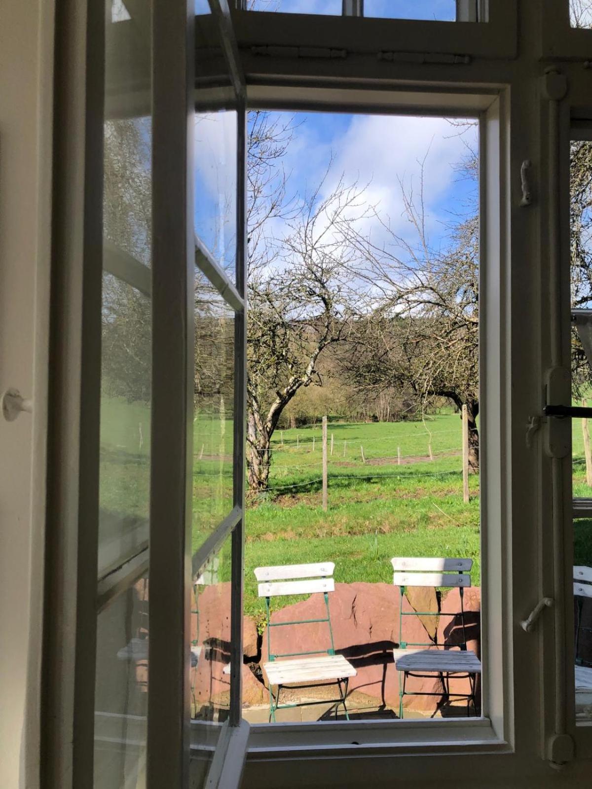 Ferienwohnung Am Stockerbach Freudenstadt Dış mekan fotoğraf