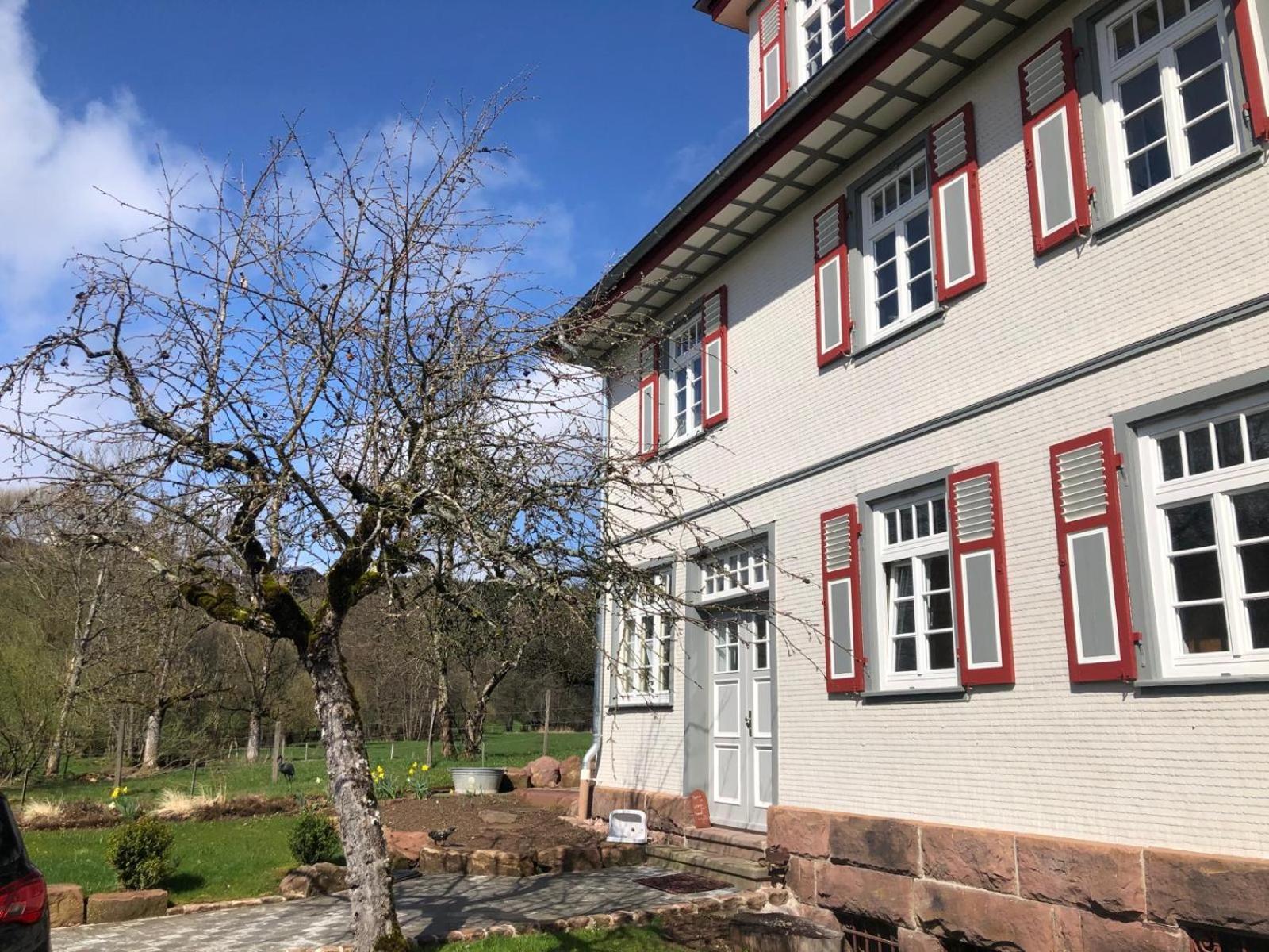 Ferienwohnung Am Stockerbach Freudenstadt Dış mekan fotoğraf